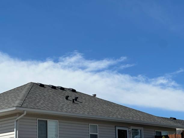 Best Roof Maintenance and Cleaning  in Turtle Creek, PA